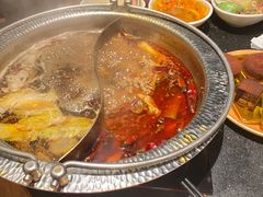 -牛New寿喜烧(金茂览秀城店)