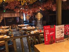 -老凯俚酸汤鱼(多彩城店)