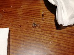 -竹叶涮肉坊(总店)