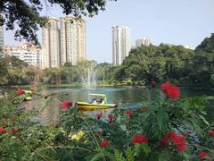 -晓港公园