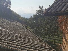 -杨家堂村