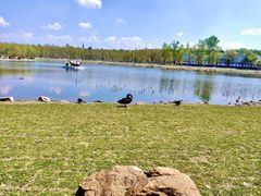 -长春市南湖公园