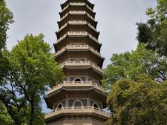 -灵谷景区