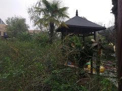 -咸宁万豪温泉谷度假区