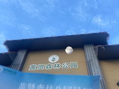 -黄贤森林公园