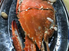 -沙田台山海鲜·酣客酒窖