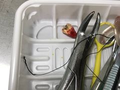 -上海市黄浦区牙病防治所(江西中路门诊部)