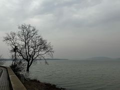 -东湖落雁景区