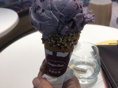 蓝莓雪糕-哈根达斯(天河城店)