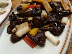 -一轩饺子馆(丽都店)