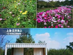 -花开海上生态园