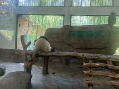 -宁波野生动物园