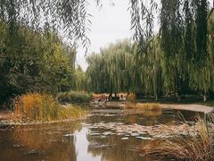 -丰台科技园生态主题公园