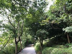 -天目湖山水园