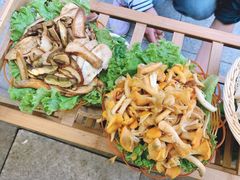 -菌海森林·非遗野生菌火锅(西山区滇池路摩根道店)