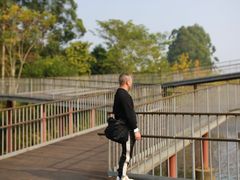 -白鹭湾湿地公园