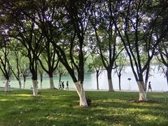 -天鹅湖体育公园