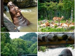 -宁波野生动物园