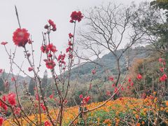 -桃花涧