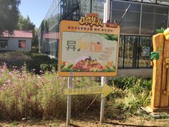 -北戴河集发农业梦想王国