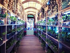 -Ohkajhu Organic Farm Sansai