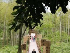 -明月山风景名胜区