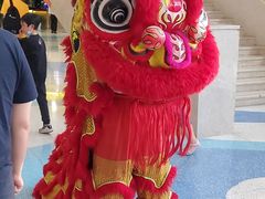 -重庆国际马戏城