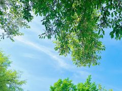 -长春公园(普阳街道)