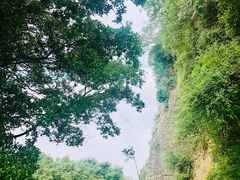 -窦圌山风景区