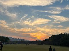 -昆山城市生态森林公园