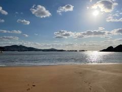 -枸杞岛