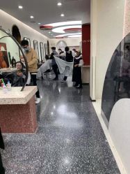 -IP SALON