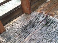-龙达温泉生态城