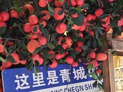 -青城山