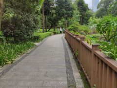 -晓港公园