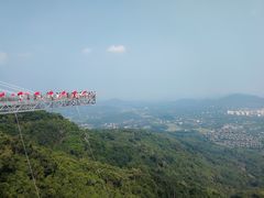-呀诺达热带雨林