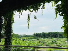 -广州市紫泥堂文化创意园景区