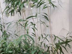 -虎丘山风景名胜区