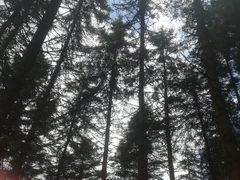 -硗碛藏寨·神木垒景区