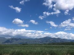 -野鸭湖国家湿地公园