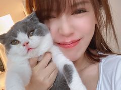 -糯米喵星人总部直营旗舰店·猫舍·幼猫出售
