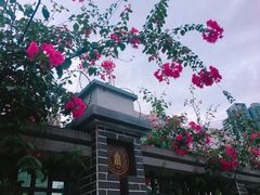 -四川大学(望江校区)