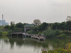 -王借岗森林公园