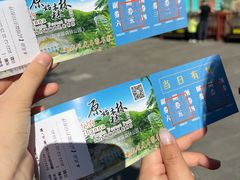 -西双版纳原始森林公园
