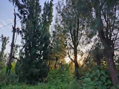 -西涌国际滨海旅游区