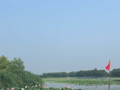 -白洋淀风景区