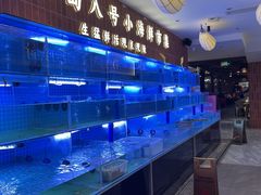 -海岛八号龙虾烧烤田鸡(蓝天路总店)