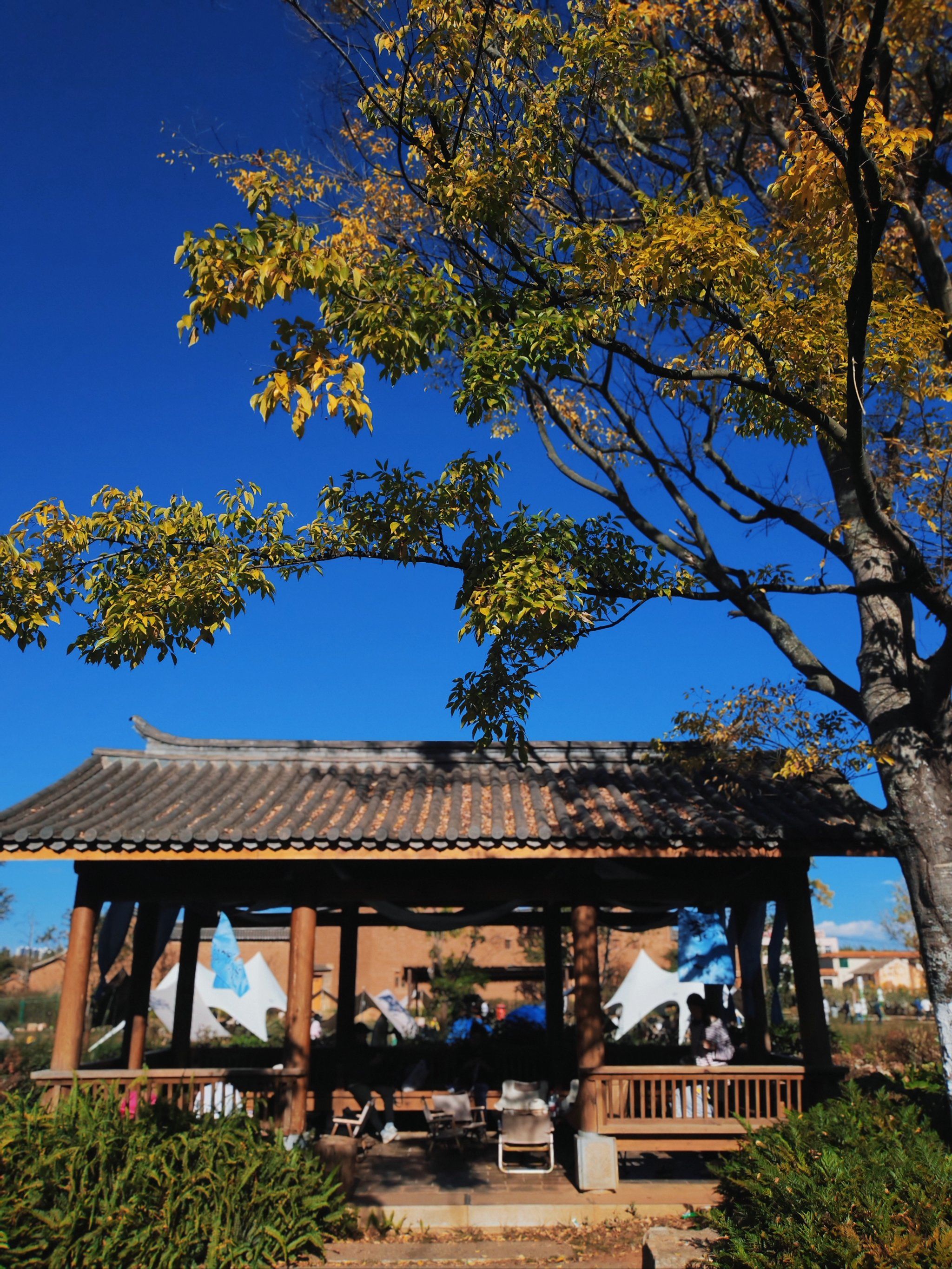 明清时期的古渔村