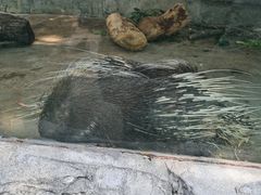 -广州长隆飞鸟乐园