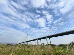 -芒洲湿地公园